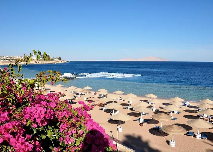 Resort Domina Coral Bay Resort, Diving, & Casino Şarm El-Şeyh