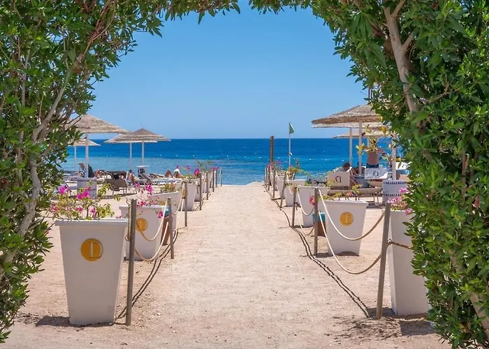 Domina Coral Bay Resort, Diving, & Casino * Şarm El-Şeyh